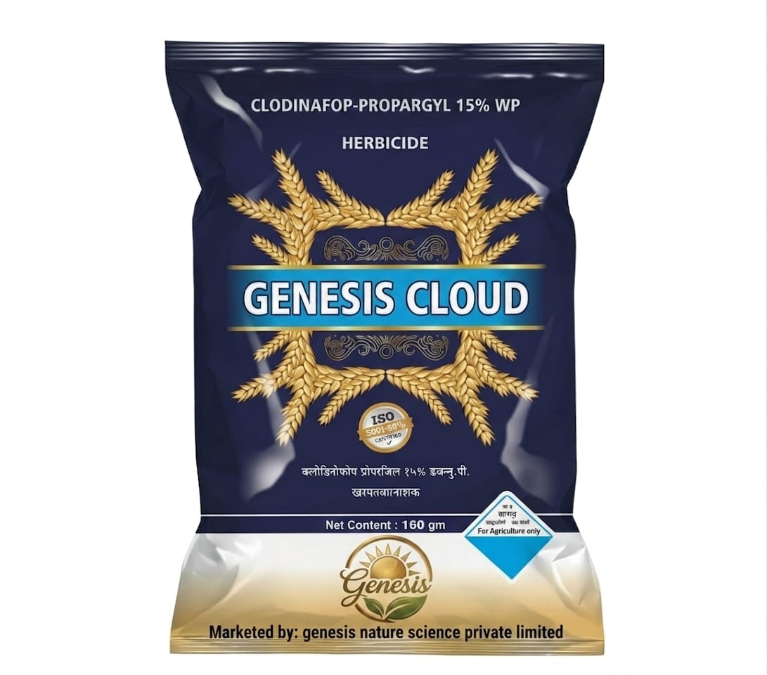 Genesis Cloud