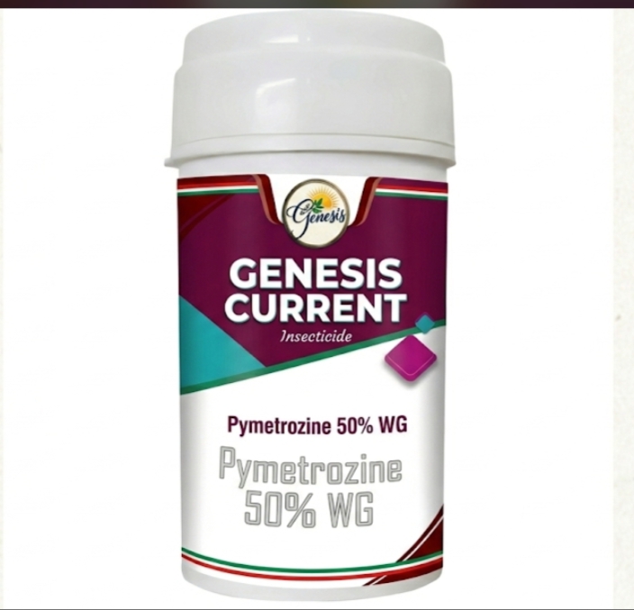 Genesis Current