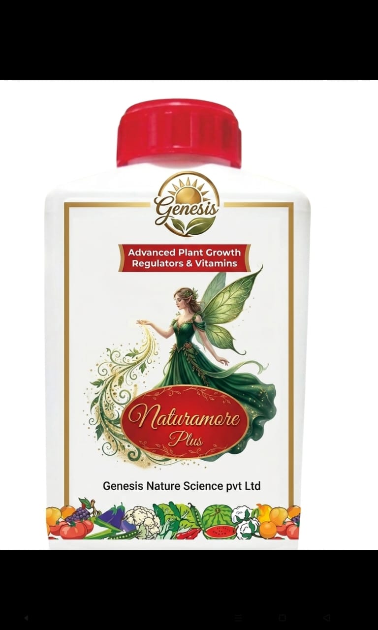 Genesis NaturaMore