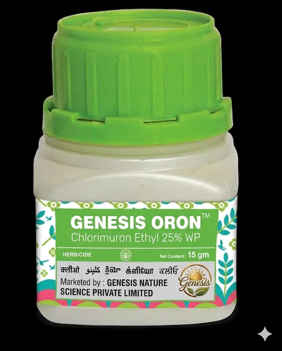 Genesis Oron