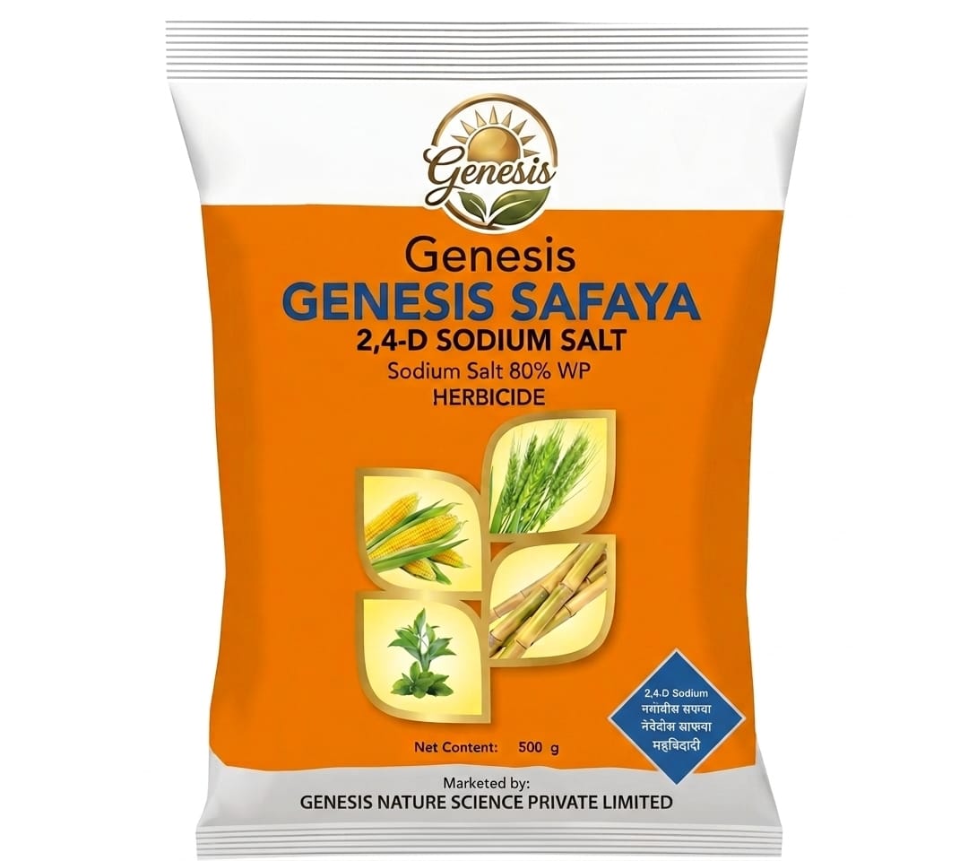 Genesis Safaya