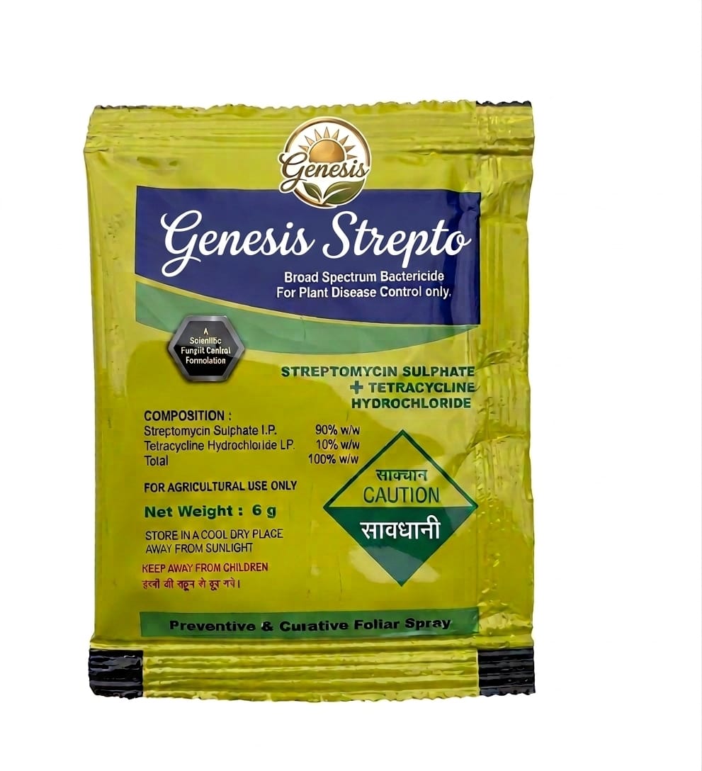 Genesis Strepto