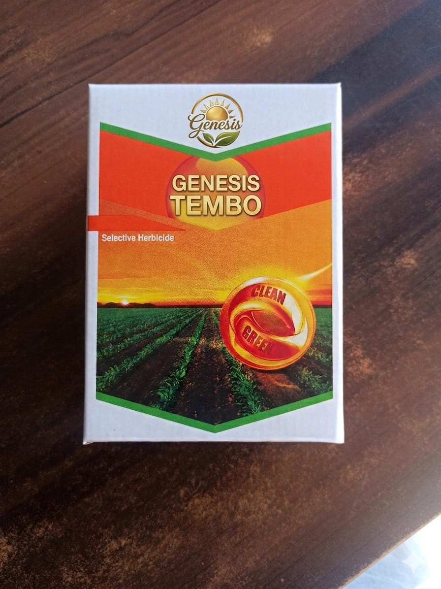 Genesis Tembo